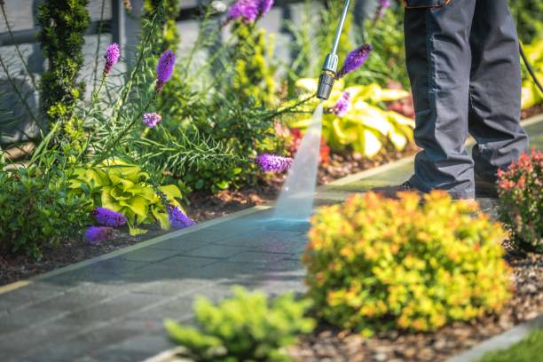 Best Sidewalk and Walkway Pressure Cleaning in Morris, MN